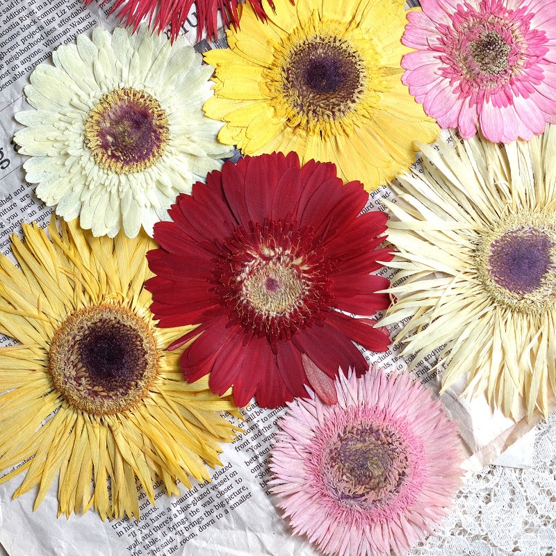 1pcs/7-9cm, Bunga Gerbera Keri - Resin Craft Ideas ulasan dan harga