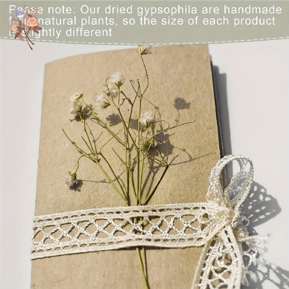 100pcs Bunga Baby's Breath Ker - Resin Craft Ideas ulasan dan harga